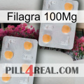 Filagra 100Mg 25